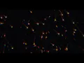 Download Lagu Sufjan Stevens - Fourth of July (April Base Version) [Official Music Video]