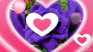 نشيد جميل عن الذكريات بدون موسيقى ولا ايقاع 