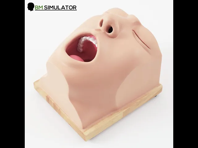 E019 หุ่นฝึกการทำ Throat swab (แบบมีสัญญาณเสียง)