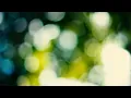 risus - Closed Rayes (Official Music Video) - risus