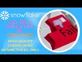 Data Engineering Snowflake COPY INTO Using RETURN - FAILED