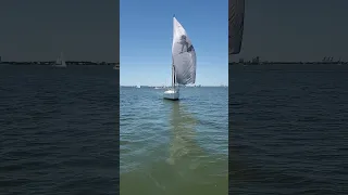 Very Light Winds on Galveston Bay #shorts