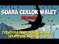 Download Lagu Suara CEKLOK WALET || CEK LOKASI BURUNG WALET