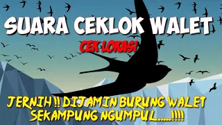 Download Suara CEKLOK WALET || CEK LOKASI BURUNG WALET MP3