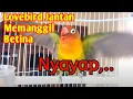 Download Lagu Lovebird Jantan Memanggil Betina, Ngetik Ngekek, Nyayap
