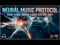 Neural Protocol Deep Dark Ambient Coding Music for High Level Software Engineering Focus