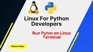 Linux Commands for Python Developers How to Run Python Script on Linux Terminal