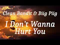 Clean Bandit & Biig Piig - I Don’t Wanna Hurt You (lyrics)