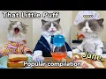Download Lagu 😋June Compilation | That Little Puff