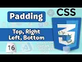 How to provide CSS Padding Explained How to Use Padding in CSS Box Model CSS Tutorial
