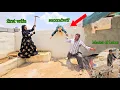 Download Lagu Second Wife Tension Hits Again as Heshmat Builds On