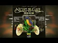 Lutan Fyah - Africa Shall Rise [Night in Gale Riddim by Train Line Records] 2022
