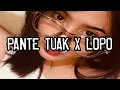 Download Lagu PANTE TUAK X LOPO DEKO BOTOL🏝PEPIK RMXR™
