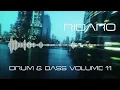 Ridaro - Drum & Bass (Volume 11)