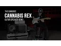Eminence Cannabis Rex Guitar Speaker Demo