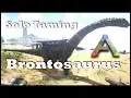 Ark SE - Solo Taming a Brontosaurus Bronto Guide on Dino Taming EASY METHOD