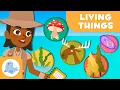 The Classification of Living Things 🦠 🐰 5 ANIMAL KINGDOMS 🌱 Science for Kids