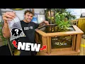 Download Lagu Buying FISH for My NEW POND Build!! (crazy)