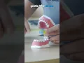 Teeth brushing tip for kids