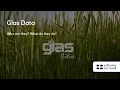 What do Glas Data do?