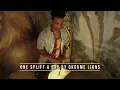 ONE SPLIFF A DAY (BILLY BOYO) by OKOUMÉ LIONS