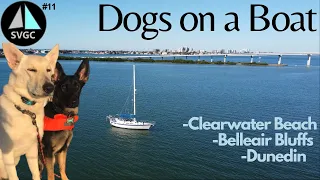 SVGC 11 – Dogs on a Boat and Sailing to New Anchorages in Clearwater Beach Dunedin and Belleair FL