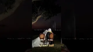 زفات 2024 كان يا مكان ليلة حسين الجسمي تنفيذها بالاسماء 