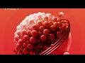 Burnie - Soul Bubble (Preview)