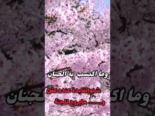 ⁣فايدة عقلك #اكسبلور #العظماء #علاقتك #دويتو #الرحمن #لايك #الظروف #تيك_توك #العلم #تنجح