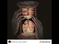 Download Lagu Chelsea Grin the human condition remix