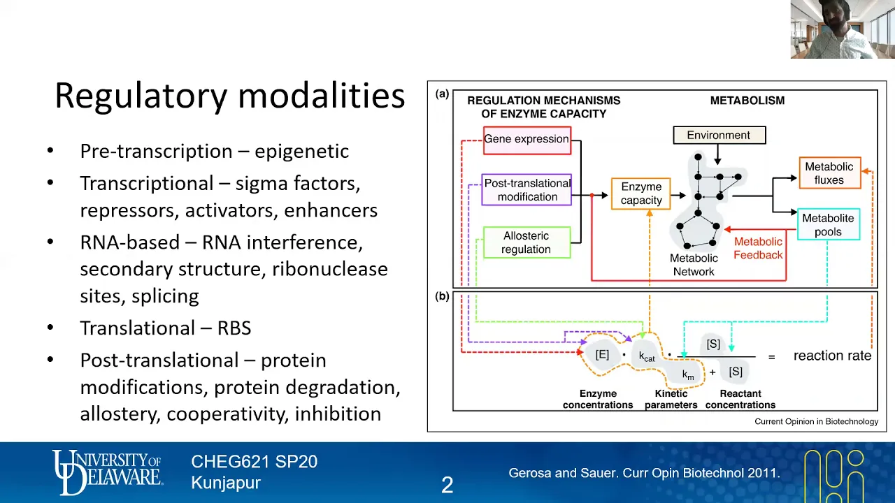 14 Regulatory Modalities | Native Gene Regulation | Lecture 13 | Metabolic Engineering | SP20