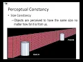 PERCEPTUAL CONSTANCIES