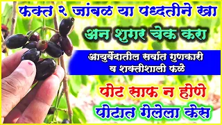 2 जांबुळ या पद्धतीने खा व नंतर शुगर चेक करा आयुर्वेदाचा चमत्कार तुम्हाला कळेल सर्वात प्रभावी फळे