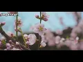 Betharia Sonatha - Jangan Ingin Menang Sendiri (lirik)