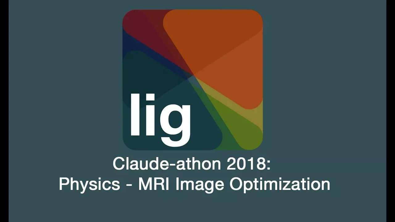 Claude-athon 2018 (pt 2): Physics - MRI Image Optimization