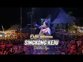 Download Lagu Singkong Keju  - Diandra Ayu | OM HIMAWAN - TAMBAKBOYO FAIR 2025
