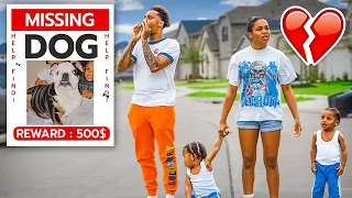 OUR DOG IS MISSING 💔 (EMOTIONAL) **NOT CLICKBAIT**