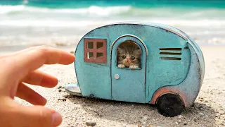 Origin Story about Smallest Rescued Kitten!  Building new Amazing house for cat raised by mouse!