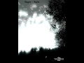 Seagull - Aquilo - Fanmade  (Matthew Covey)