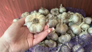 ПОСАДКОВИЙ ЧАСНИК ЛЮБАША СУПЕРЄЛІТА
