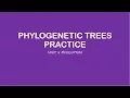 AP Biology Phylogenetic Tree Practice