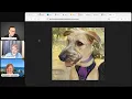 Python Built us an Anime Dog - Python Bytes Live Stream Episode 258