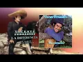 Vicente Fernández - La Diferencia (Cover Audio)