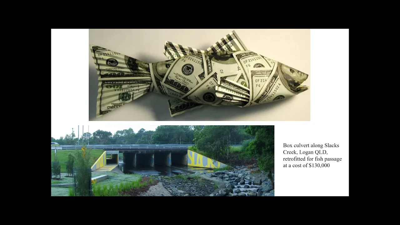 CFD Modelling in Hydraulic Engineering of Box Culverts to Assist Fish Passage