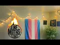Like Moths To Flames - Where The Quiet Devours Me Whole Vocal Cover by Casey Hayes