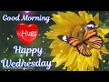 Happy Wednesday Wishes Happy Wednesday Whatsapp Status Happy Wednesday Gifs Happy Wednesday