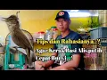 Download Lagu Part.3 Tips dan Cara perawatan Harian Burung Kerak Basi Alis putih Agar cepat Bunyi.