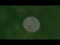 The Endless Farmer Trailer Summer 2019