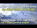 Download Lagu SP AKAU 2026 BJA BIRAHI. suara walet panggil tarik inap terbaik super jernih
