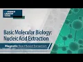 Basic Molecular Biology Nucleic Acid Extraction - Magnetic Bead-Based Extraction